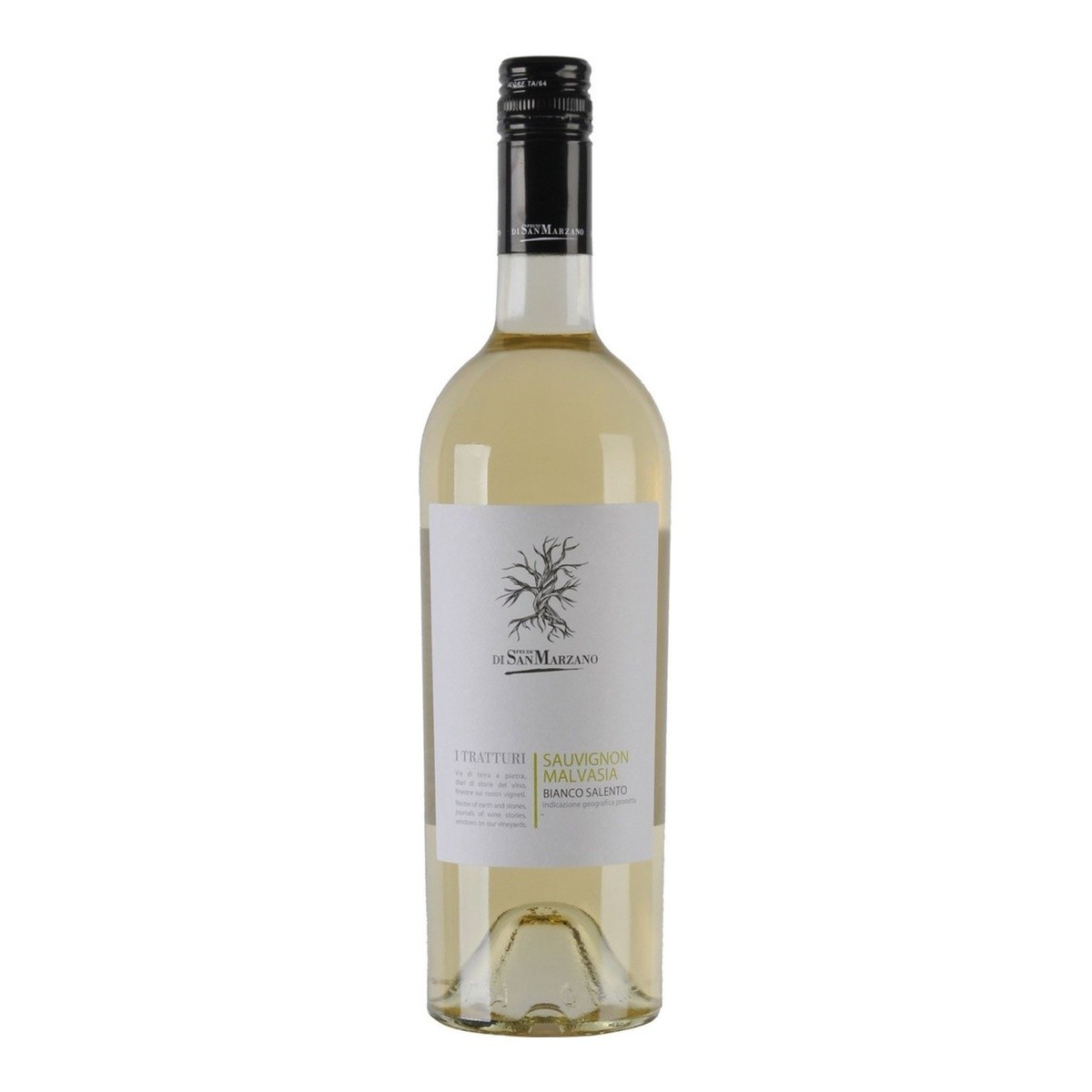 Malvasia Sauvignon